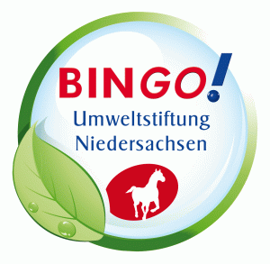 logo Bingo